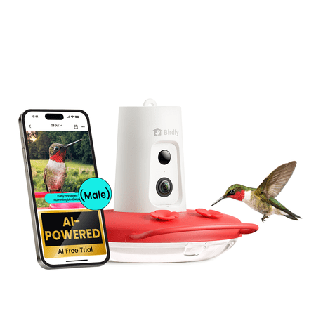 Birdfy Kolibri-Futterstation mit Kamera