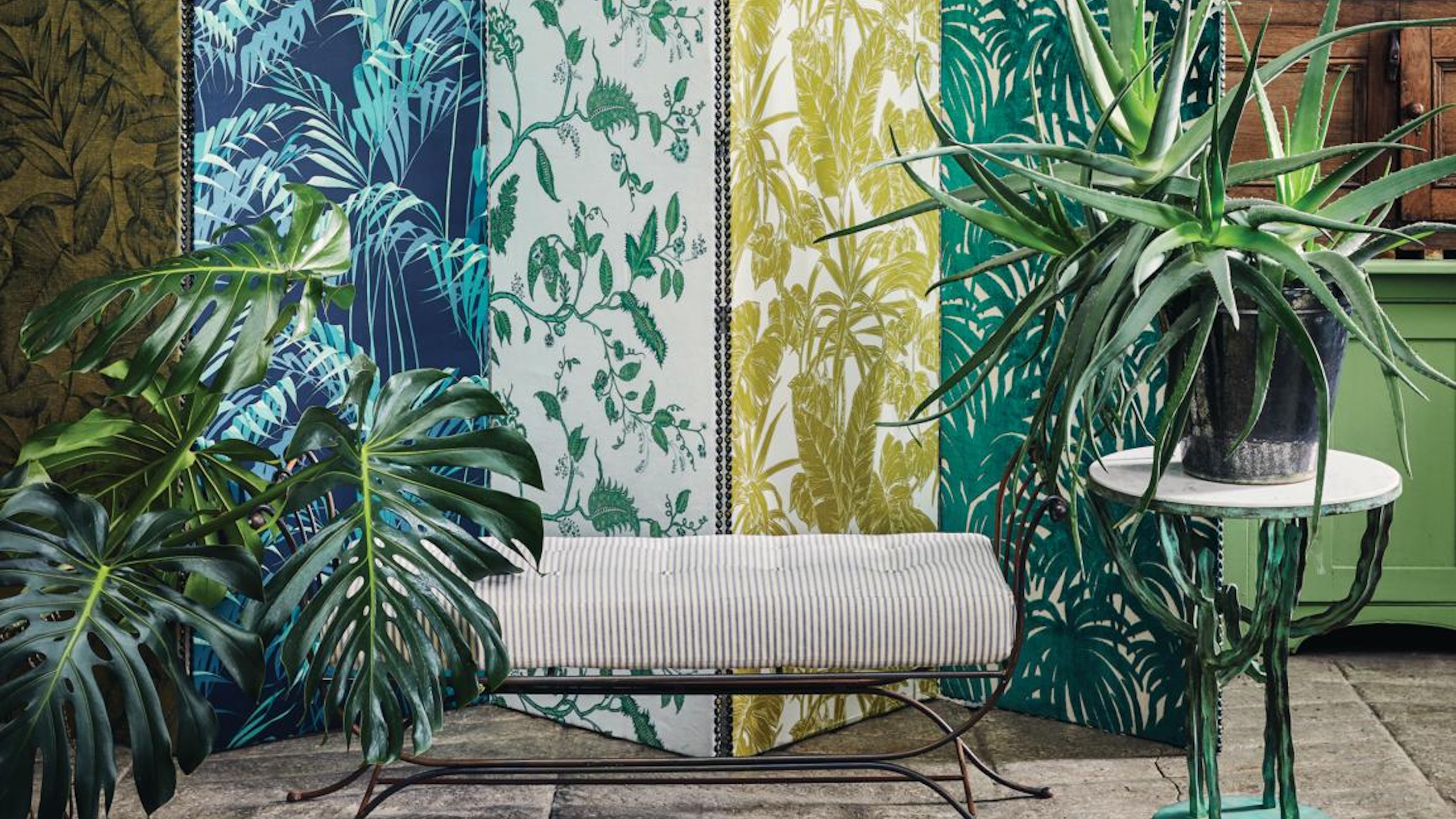 Monstera und Aloe Vera vor gemustertem Hintergrund