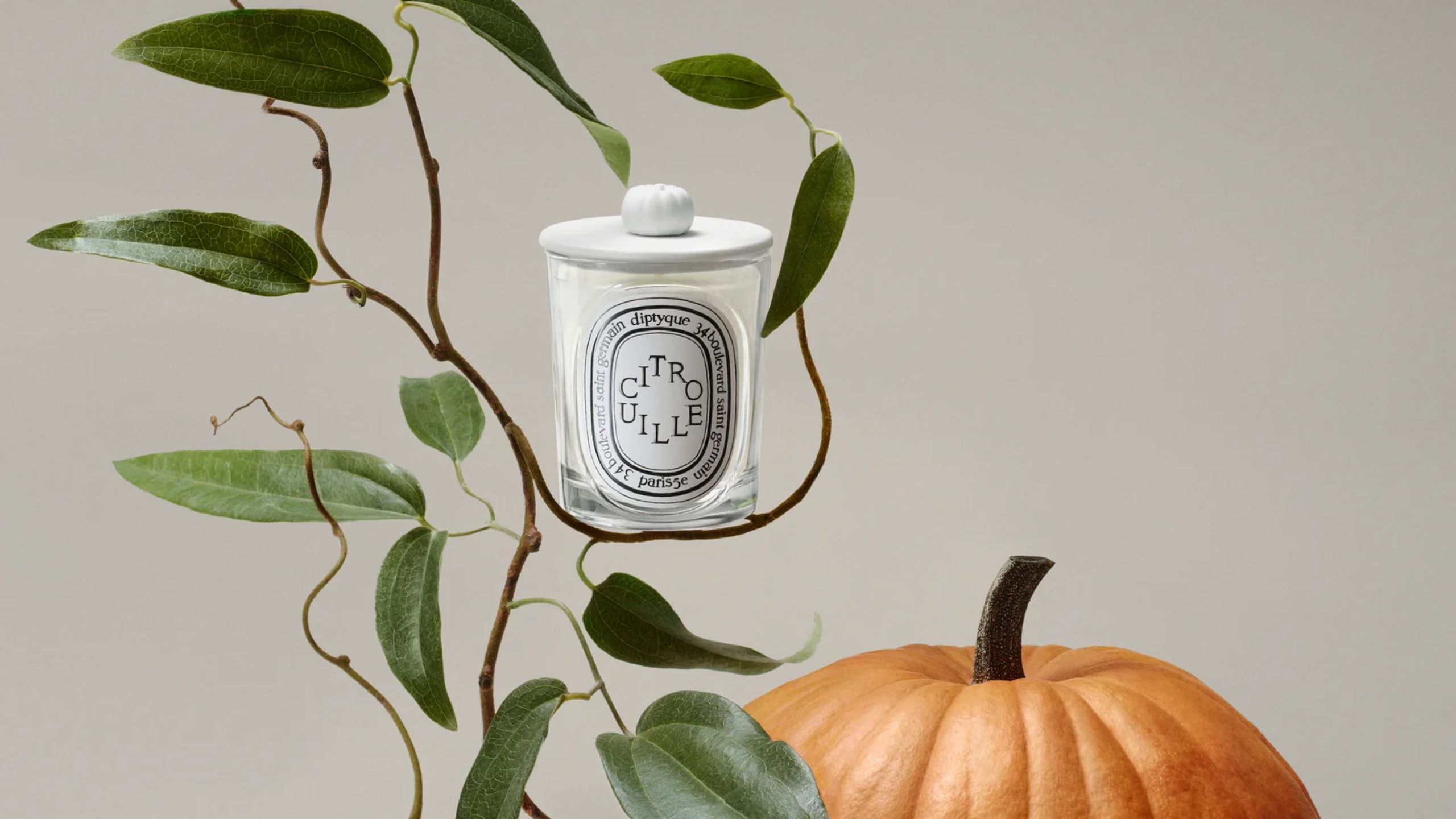 Diptyque Citrouille Classic Kerzenkopf mit Kürbis und Ranken