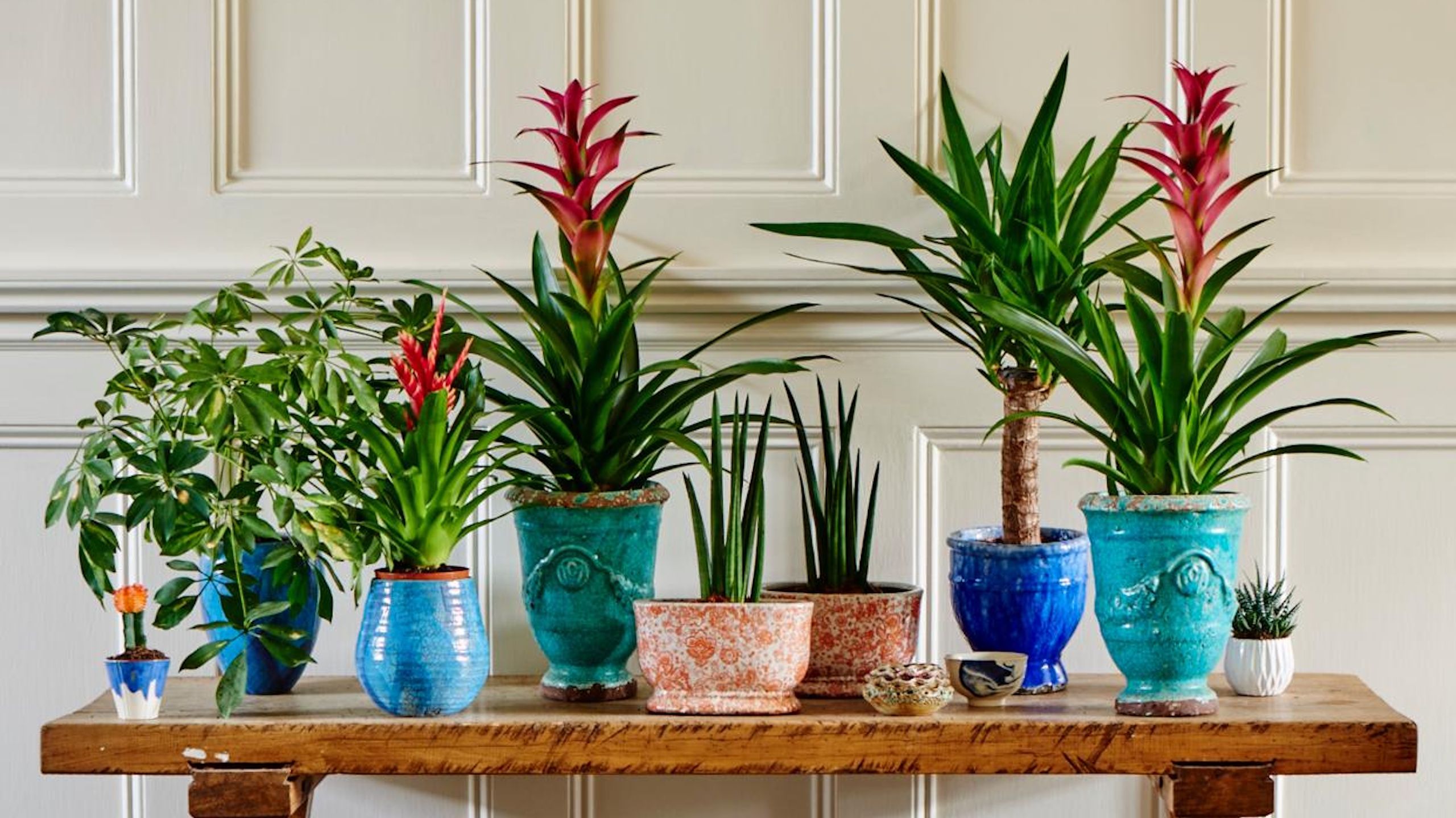 Der clevere Zimmerpflanzenständer von IKEA ist perfekt für kleine Räume – und dient gleichzeitig als Blumentopfbank