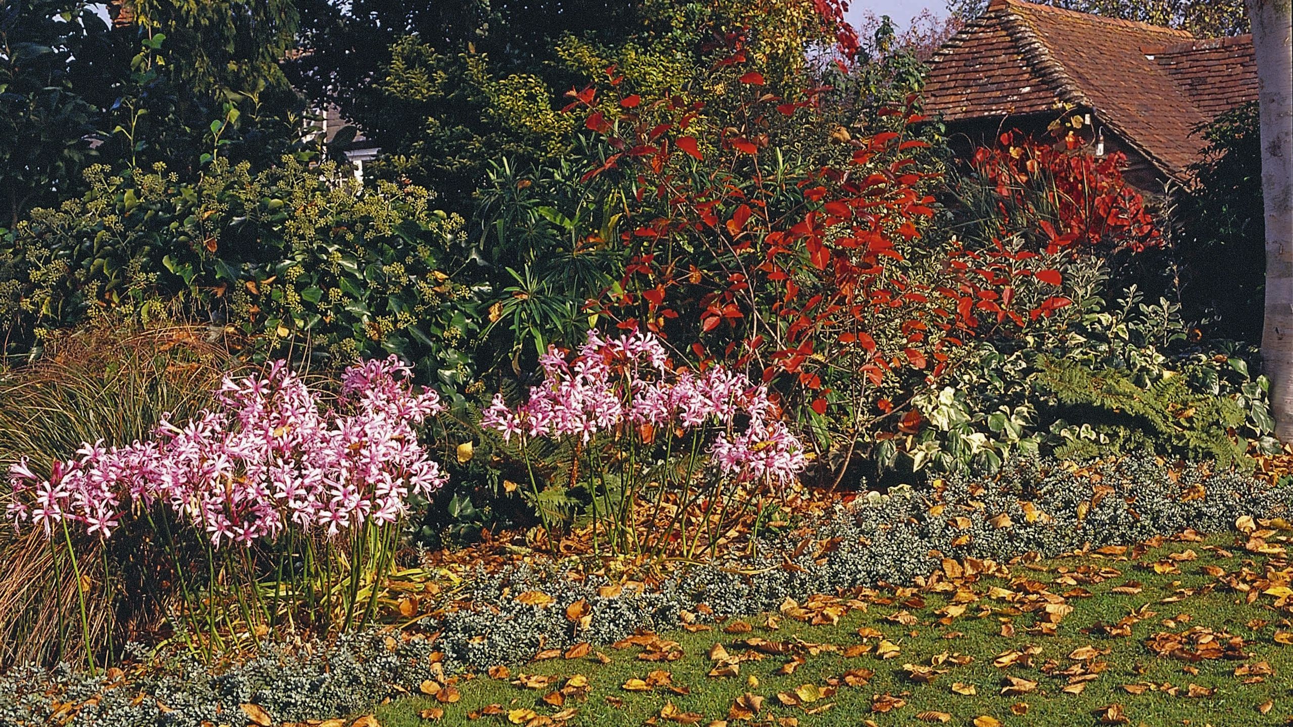 Dieses kompakte Werkzeug ist für die schnelle Reinigung kleiner Blumenbeete unverzichtbar – und es kostet weniger als 10 US-Dollar