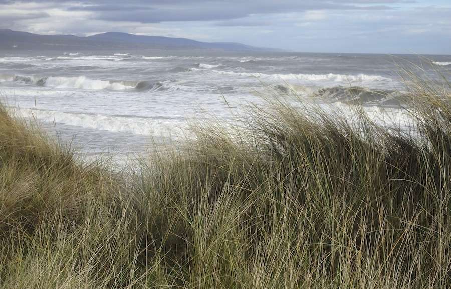 One of Scotland