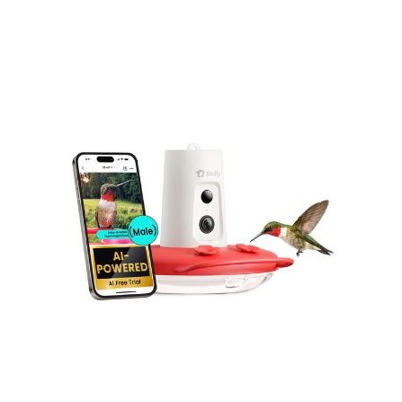Birdfy Smart Kolibri-Futterspender