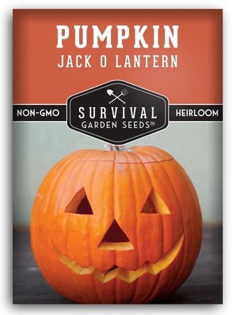 Jack-O-Lantern-Kürbiskerne