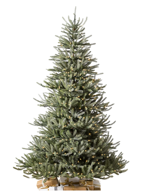 Balsam Hill ® Vorbeleuchteter Sanibel-Fichtenbaum