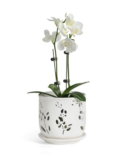 Keramik-Orchideentopf