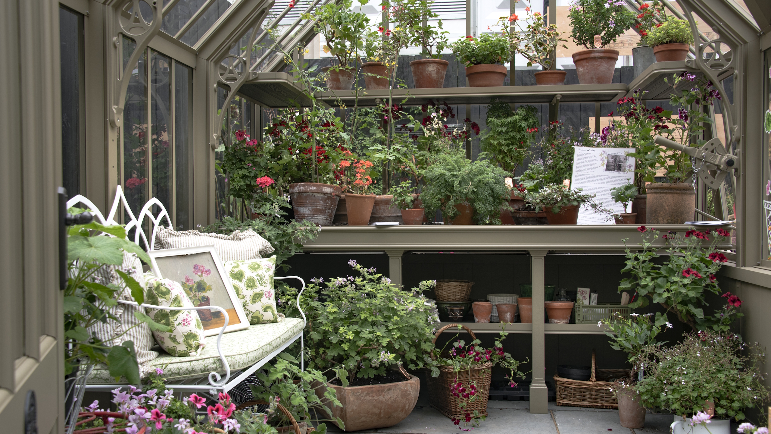 Eine Reihe von Pflanzen in Terrakottatöpfen, die in einem Gewächshaus auf der Chelsea Flower Show wachsen